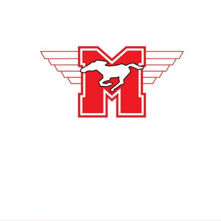 hamilton mustangs jersey