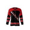 Wheeling Lightningbirds Hockey Jersey