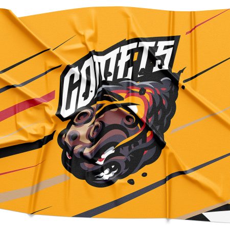 Comets Logo Rendering
