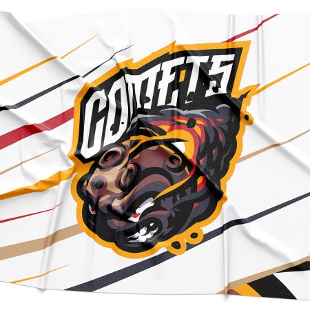 Comets Logo Rendering