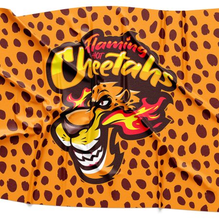 Flaming Hot Cheetahs Logo Rendering